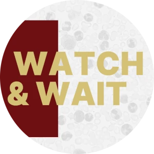 Projekt Watch&Wait - fundacja W trosce